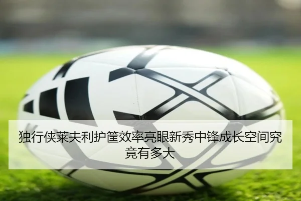 独行侠莱夫利护筐效率亮眼新秀中锋成长空间究竟有多大